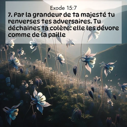 Segond21 Exode  ; image nature: image avec le verset biblique :Par la grandeur de ta majesté tu renverses tes adversaires. Tu déchaînes ta colère: elle les dévore comme de la paille. ;  ; 15:7