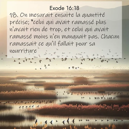 Segond21 Exode  ; image nature: image avec le verset biblique :On mesurait ensuite la quantité précise; *celui qui avait ramassé plus n&#039;avait rien de trop, et celui qui avait ramassé moins n&#039;en manquait pas. Chacun ramassait ce qu&#039;il fallait pour sa nourriture. ;  ; 16:18