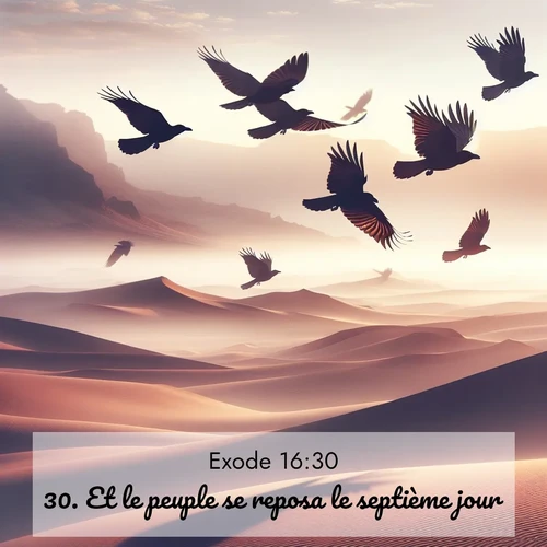 Segond21 Exode  ; image nature: image avec le verset biblique :Et le peuple se reposa le septième jour. ;  ; 16:30