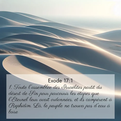 Segond21 Exode  ; image nature: image avec le verset biblique :Toute l&#039;assemblée des Israélites partit du désert de Sin pour parcourir les étapes que l&#039;Eternel leur avait ordonnées, et ils campèrent à Rephidim. Là, le peuple ne trouva pas d&#039;eau à boire. ;  ; 17:1