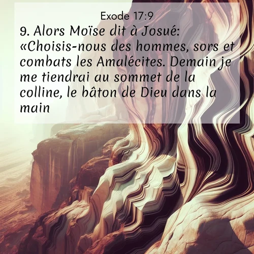 Segond21 Exode  ; image nature: image avec le verset biblique :Alors Moïse dit à Josué: «Choisis-nous des hommes, sors et combats les Amalécites. Demain je me tiendrai au sommet de la colline, le bâton de Dieu dans la main.» ;  ; 17:9