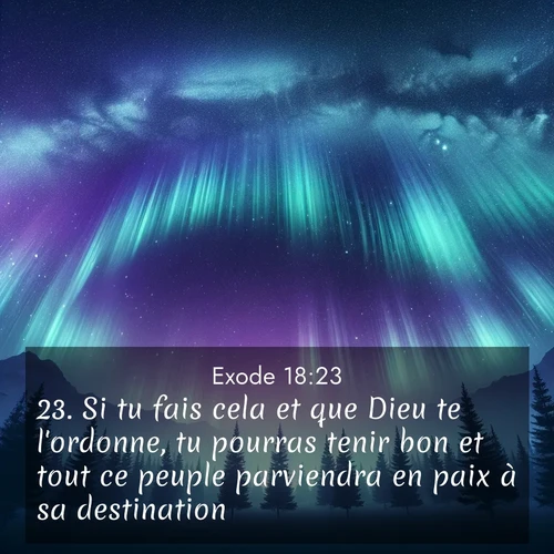 Segond21 Exode  ; image nature: image avec le verset biblique :Si tu fais cela et que Dieu te l&#039;ordonne, tu pourras tenir bon et tout ce peuple parviendra en paix à sa destination.» ;  ; 18:23