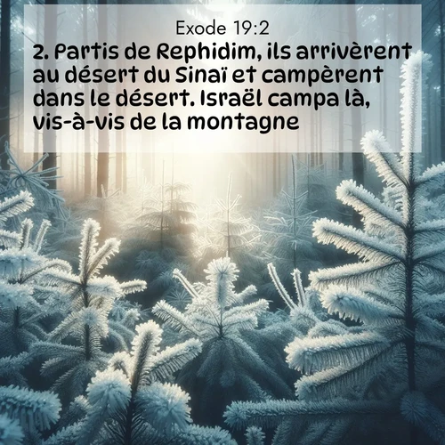 Segond21 Exode  ; image nature: image avec le verset biblique :Partis de Rephidim, ils arrivèrent au désert du Sinaï et campèrent dans le désert. Israël campa là, vis-à-vis de la montagne. ;  ; 19:2