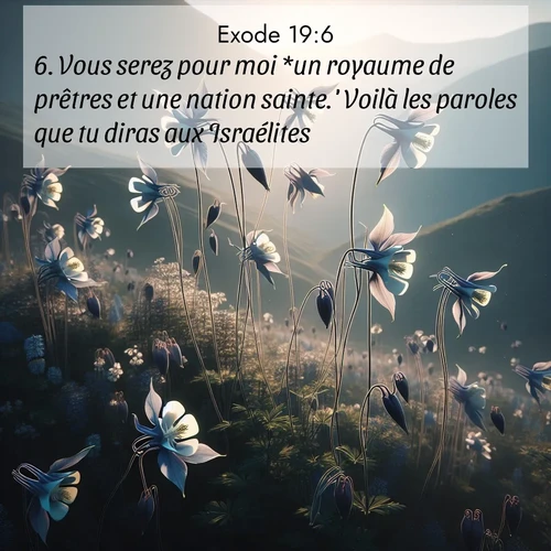 Segond21 Exode  ; image nature: image avec le verset biblique :Vous serez pour moi *un royaume de prêtres et une nation sainte.&#039; Voilà les paroles que tu diras aux Israélites.» ;  ; 19:6