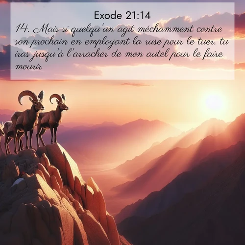 Segond21 Exode  ; image nature: image avec le verset biblique :Mais si quelqu&#039;un agit méchamment contre son prochain en employant la ruse pour le tuer, tu iras jusqu&#039;à l&#039;arracher de mon autel pour le faire mourir. ;  ; 21:14