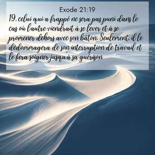 Segond21 Exode  ; image nature: image avec le verset biblique :celui qui a frappé ne sera pas puni dans le cas où l&#039;autre viendrait à se lever et à se promener dehors avec son bâton. Seulement, il le dédommagera de son interruption de travail et le fera soigner jusqu&#039;à sa guérison. ;  ; 21:19