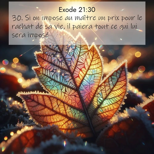 Segond21 Exode  ; image nature: image avec le verset biblique :Si on impose au maître un prix pour le rachat de sa vie, il paiera tout ce qui lui sera imposé. ;  ; 21:30