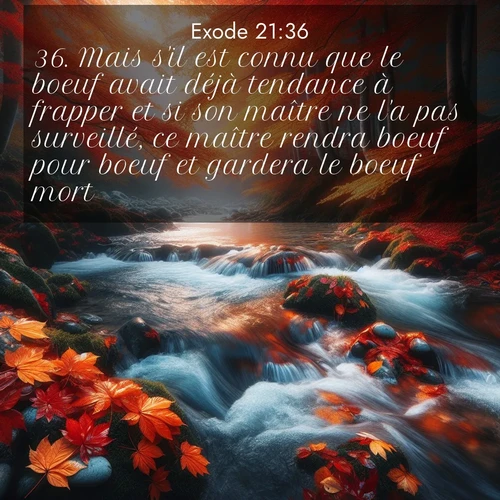 Segond21 Exode  ; image nature: image avec le verset biblique :Mais s&#039;il est connu que le boeuf avait déjà tendance à frapper et si son maître ne l&#039;a pas surveillé, ce maître rendra boeuf pour boeuf et gardera le boeuf mort. ;  ; 21:36