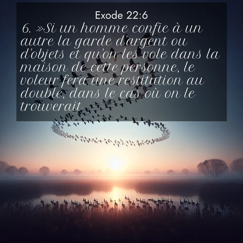 Segond21 Exode  ; image nature: image avec le verset biblique :»Si un homme confie à un autre la garde d&#039;argent ou d&#039;objets et qu&#039;on les vole dans la maison de cette personne, le voleur fera une restitution au double, dans le cas où on le trouverait. ;  ; 22:6