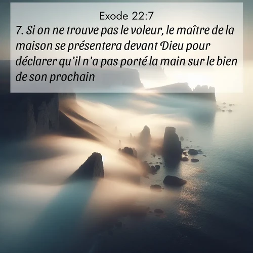 Segond21 Exode  ; image nature: image avec le verset biblique :Si on ne trouve pas le voleur, le maître de la maison se présentera devant Dieu pour déclarer qu&#039;il n&#039;a pas porté la main sur le bien de son prochain. ;  ; 22:7