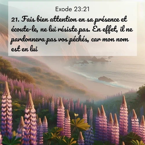 Segond21 Exode  ; image nature: image avec le verset biblique :Fais bien attention en sa présence et écoute-le, ne lui résiste pas. En effet, il ne pardonnera pas vos péchés, car mon nom est en lui. ;  ; 23:21