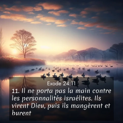 Segond21 Exode  ; image nature: image avec le verset biblique :Il ne porta pas la main contre les personnalités israélites. Ils virent Dieu, puis ils mangèrent et burent. ;  ; 24:11