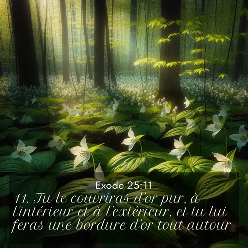 Segond21 Exode  ; image nature: image avec le verset biblique :Tu le couvriras d&#039;or pur, à l&#039;intérieur et à l&#039;extérieur, et tu lui feras une bordure d&#039;or tout autour. ;  ; 25:11