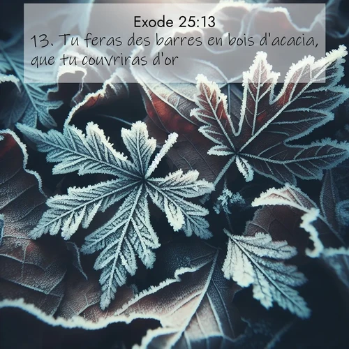 Segond21 Exode  ; image nature: image avec le verset biblique :Tu feras des barres en bois d&#039;acacia, que tu couvriras d&#039;or. ;  ; 25:13