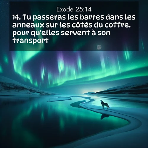 Segond21 Exode  ; image nature: image avec le verset biblique :Tu passeras les barres dans les anneaux sur les côtés du coffre, pour qu&#039;elles servent à son transport. ;  ; 25:14