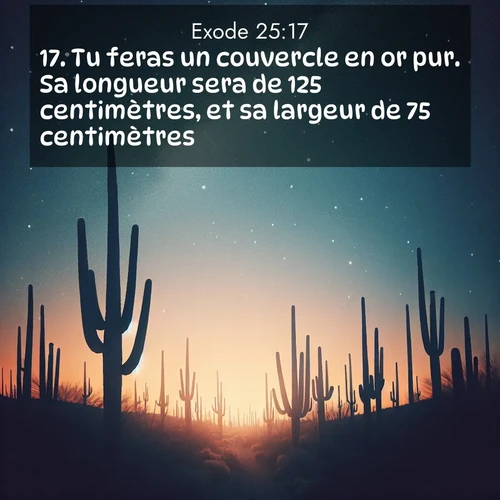 Segond21 Exode  ; image nature: image avec le verset biblique :Tu feras un couvercle en or pur. Sa longueur sera de 125 centimètres, et sa largeur de 75 centimètres. ;  ; 25:17