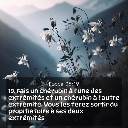 Segond21 Exode  ; image nature: image avec le verset biblique :Fais un chérubin à l&#039;une des extrémités et un chérubin à l&#039;autre extrémité. Vous les ferez sortir du propitiatoire à ses deux extrémités. ;  ; 25:19