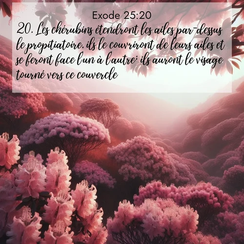 Segond21 Exode  ; image nature: image avec le verset biblique :Les chérubins étendront les ailes par-dessus le propitiatoire, ils le couvriront de leurs ailes et se feront face l&#039;un à l&#039;autre; ils auront le visage tourné vers ce couvercle. ;  ; 25:20