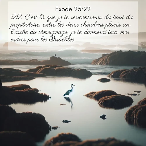 Segond21 Exode  ; image nature: image avec le verset biblique :C&#039;est là que je te rencontrerai; du haut du propitiatoire, entre les deux chérubins placés sur l&#039;arche du témoignage, je te donnerai tous mes ordres pour les Israélites. ;  ; 25:22