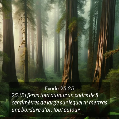 Segond21 Exode  ; image nature: image avec le verset biblique :Tu feras tout autour un cadre de 8 centimètres de large sur lequel tu mettras une bordure d&#039;or, tout autour. ;  ; 25:25