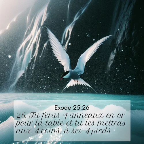 Segond21 Exode  ; image nature: image avec le verset biblique :Tu feras 4 anneaux en or pour la table et tu les mettras aux 4 coins, à ses 4 pieds. ;  ; 25:26