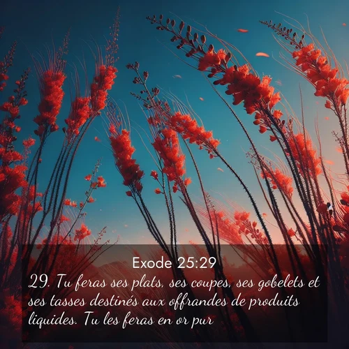 Segond21 Exode  ; image nature: image avec le verset biblique :Tu feras ses plats, ses coupes, ses gobelets et ses tasses destinés aux offrandes de produits liquides. Tu les feras en or pur. ;  ; 25:29