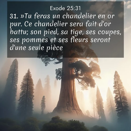 Segond21 Exode  ; image nature: image avec le verset biblique :»Tu feras un chandelier en or pur. Ce chandelier sera fait d&#039;or battu; son pied, sa tige, ses coupes, ses pommes et ses fleurs seront d&#039;une seule pièce. ;  ; 25:31