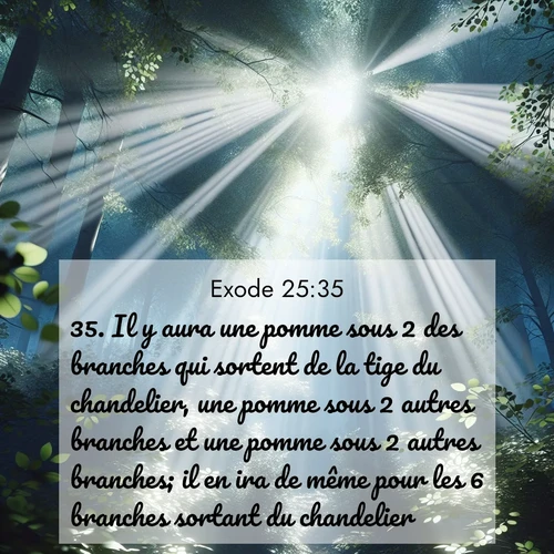 Segond21 Exode  ; image nature: image avec le verset biblique :Il y aura une pomme sous 2 des branches qui sortent de la tige du chandelier, une pomme sous 2 autres branches et une pomme sous 2 autres branches; il en ira de même pour les 6 branches sortant du chandelier. ;  ; 25:35