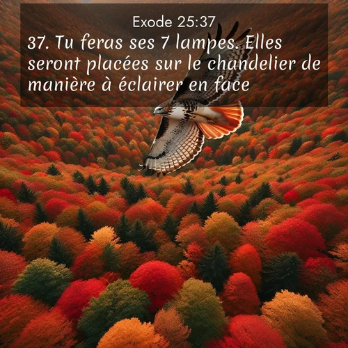 Segond21 Exode  ; image nature: image avec le verset biblique :Tu feras ses 7 lampes. Elles seront placées sur le chandelier de manière à éclairer en face. ;  ; 25:37