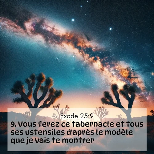 Segond21 Exode  ; image nature: image avec le verset biblique :Vous ferez ce tabernacle et tous ses ustensiles d&#039;après le modèle que je vais te montrer. ;  ; 25:9
