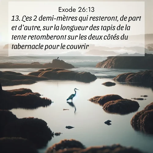 Segond21 Exode  ; image nature: image avec le verset biblique :Les 2 demi-mètres qui resteront, de part et d&#039;autre, sur la longueur des tapis de la tente retomberont sur les deux côtés du tabernacle pour le couvrir. ;  ; 26:13