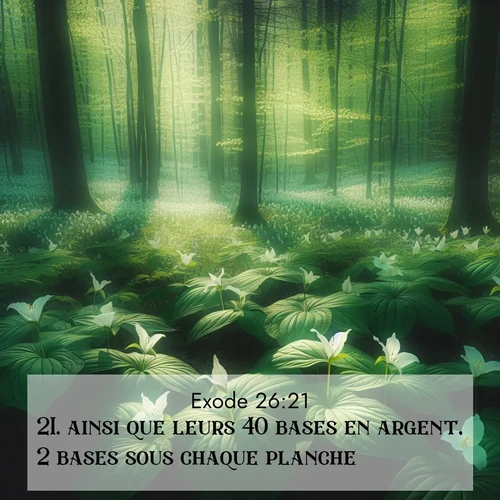 Segond21 Exode  ; image nature: image avec le verset biblique :ainsi que leurs 40 bases en argent, 2 bases sous chaque planche. ;  ; 26:21