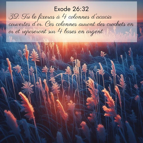 Segond21 Exode  ; image nature: image avec le verset biblique :Tu le fixeras à 4 colonnes d&#039;acacia couvertes d&#039;or. Ces colonnes auront des crochets en or et reposeront sur 4 bases en argent. ;  ; 26:32
