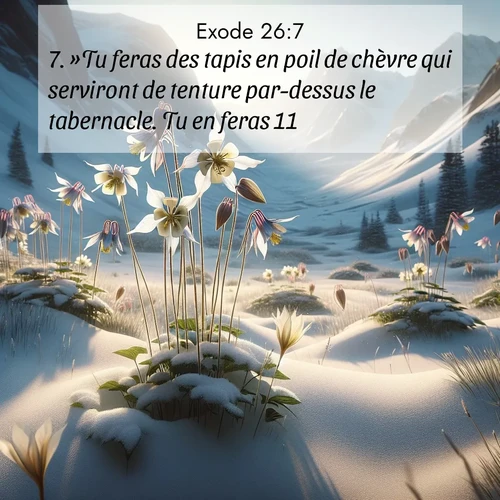 Segond21 Exode  ; image nature: image avec le verset biblique :»Tu feras des tapis en poil de chèvre qui serviront de tenture par-dessus le tabernacle. Tu en feras 11. ;  ; 26:7