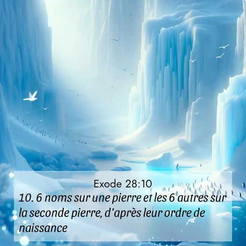 Segond21 Exode  ; image nature: image avec le verset biblique :6 noms sur une pierre et les 6 autres sur la seconde pierre, d&#039;après leur ordre de naissance. ;  ; 28:10