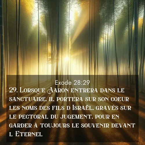 Segond21 Exode  ; image nature: image avec le verset biblique :Lorsque Aaron entrera dans le sanctuaire, il portera sur son coeur les noms des fils d&#039;Israël, gravés sur le pectoral du jugement, pour en garder à toujours le souvenir devant l&#039;Eternel. ;  ; 28:29