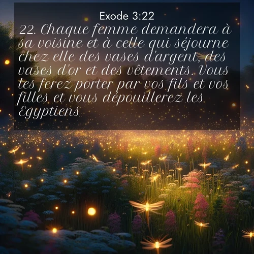 Segond21 Exode  ; image nature: image avec le verset biblique :Chaque femme demandera à sa voisine et à celle qui séjourne chez elle des vases d&#039;argent, des vases d&#039;or et des vêtements. Vous les ferez porter par vos fils et vos filles et vous dépouillerez les Egyptiens.» ;  ; 3:22