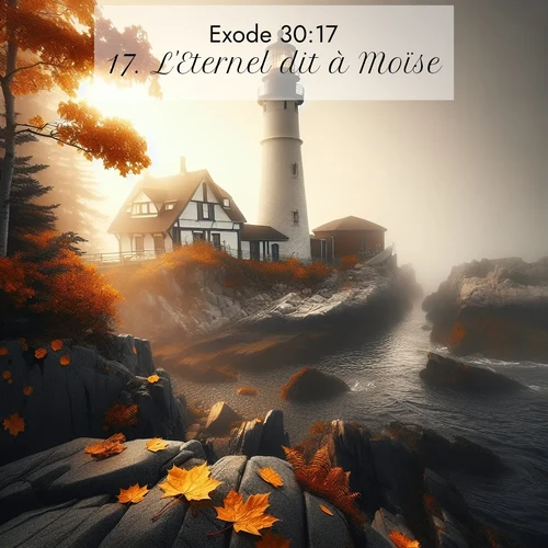 Segond21 Exode  ; image nature: image avec le verset biblique :L&#039;Eternel dit à Moïse: ;  ; 30:17