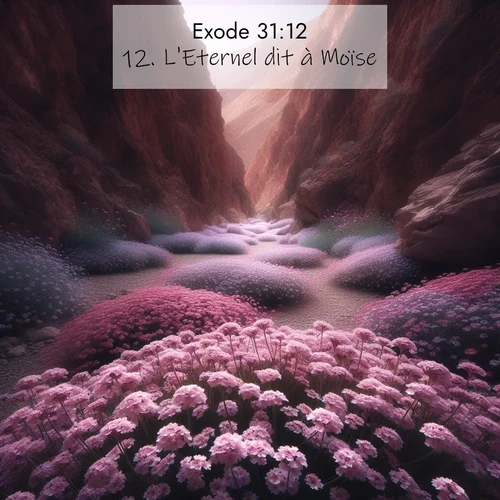 Segond21 Exode  ; image nature: image avec le verset biblique :L&#039;Eternel dit à Moïse: ;  ; 31:12