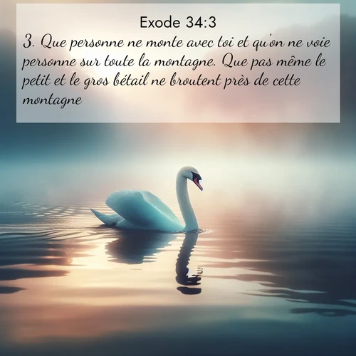 Segond21 Exode  ; image nature: image avec le verset biblique :Que personne ne monte avec toi et qu&#039;on ne voie personne sur toute la montagne. Que pas même le petit et le gros bétail ne broutent près de cette montagne.» ;  ; 34:3