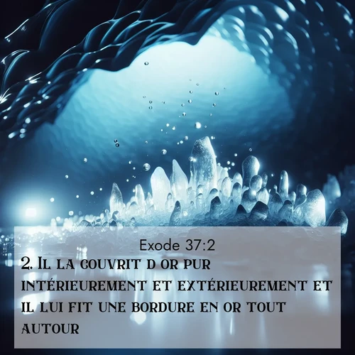 Segond21 Exode  ; image nature: image avec le verset biblique :Il la couvrit d&#039;or pur intérieurement et extérieurement et il lui fit une bordure en or tout autour. ;  ; 37:2
