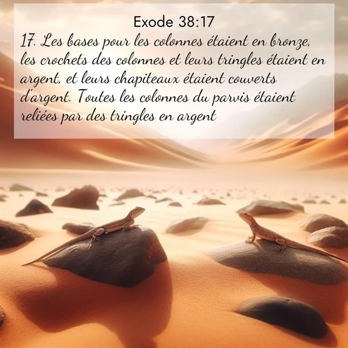 Segond21 Exode  ; image nature: image avec le verset biblique :Les bases pour les colonnes étaient en bronze, les crochets des colonnes et leurs tringles étaient en argent, et leurs chapiteaux étaient couverts d&#039;argent. Toutes les colonnes du parvis étaient reliées par des tringles en argent. ;  ; 38:17