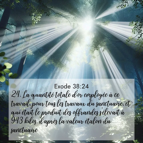 Segond21 Exode  ; image nature: image avec le verset biblique :La quantité totale d&#039;or employée à ce travail, pour tous les travaux du sanctuaire, et qui était le produit des offrandes s&#039;élevait à 943 kilos, d&#039;après la valeur étalon du sanctuaire. ;  ; 38:24