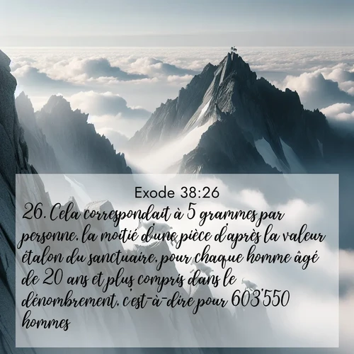 Segond21 Exode  ; image nature: image avec le verset biblique :Cela correspondait à 5 grammes par personne, la moitié d&#039;une pièce d&#039;après la valeur étalon du sanctuaire, pour chaque homme âgé de 20 ans et plus compris dans le dénombrement, c&#039;est-à-dire pour 603&#039;550 hommes. ;  ; 38:26