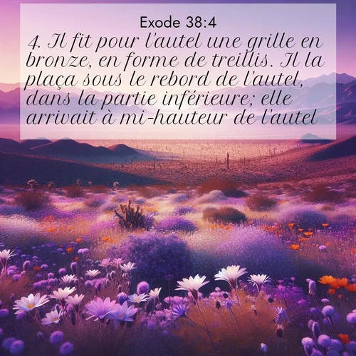 Segond21 Exode  ; image nature: image avec le verset biblique :Il fit pour l&#039;autel une grille en bronze, en forme de treillis. Il la plaça sous le rebord de l&#039;autel, dans la partie inférieure; elle arrivait à mi-hauteur de l&#039;autel. ;  ; 38:4