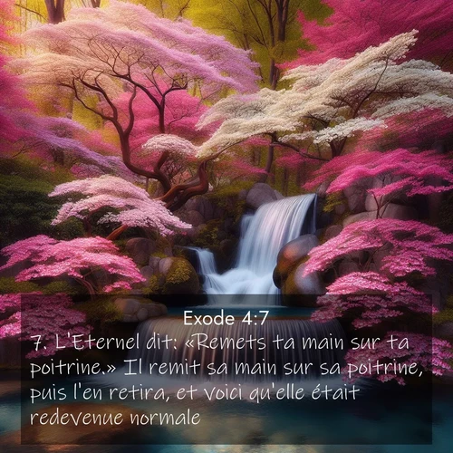 Segond21 Exode  ; image nature: image avec le verset biblique :L&#039;Eternel dit: «Remets ta main sur ta poitrine.» Il remit sa main sur sa poitrine, puis l&#039;en retira, et voici qu&#039;elle était redevenue normale. ;  ; 4:7