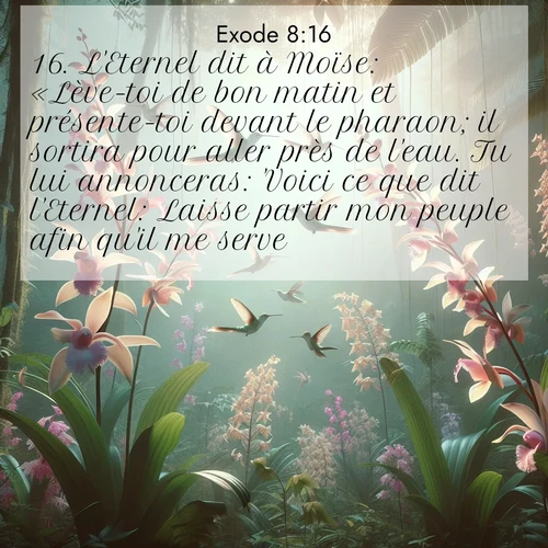 Segond21 Exode  ; image nature: image avec le verset biblique :L&#039;Eternel dit à Moïse: «Lève-toi de bon matin et présente-toi devant le pharaon; il sortira pour aller près de l&#039;eau. Tu lui annonceras: &#039;Voici ce que dit l&#039;Eternel: Laisse partir mon peuple afin qu&#039;il me serve. ;  ; 8:16