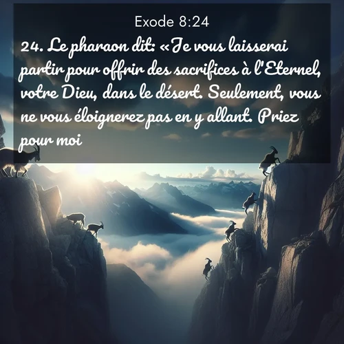 Segond21 Exode  ; image nature: image avec le verset biblique :Le pharaon dit: «Je vous laisserai partir pour offrir des sacrifices à l&#039;Eternel, votre Dieu, dans le désert. Seulement, vous ne vous éloignerez pas en y allant. Priez pour moi!» ;  ; 8:24