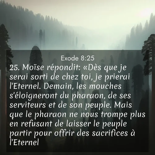 Segond21 Exode  ; image nature: image avec le verset biblique :Moïse répondit: «Dès que je serai sorti de chez toi, je prierai l&#039;Eternel. Demain, les mouches s&#039;éloigneront du pharaon, de ses serviteurs et de son peuple. Mais que le pharaon ne nous trompe plus en refusant de laisser le peuple partir pour offrir des sacrifices à l&#039;Eternel!» ;  ; 8:25