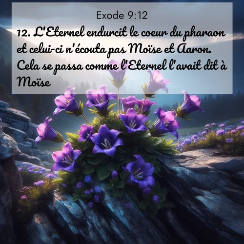 Segond21 Exode  ; image nature: image avec le verset biblique :L&#039;Eternel endurcit le coeur du pharaon et celui-ci n&#039;écouta pas Moïse et Aaron. Cela se passa comme l&#039;Eternel l&#039;avait dit à Moïse. ;  ; 9:12